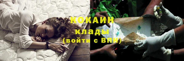 ешки Бронницы
