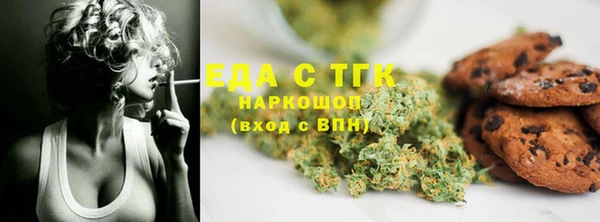 гидра Богородск