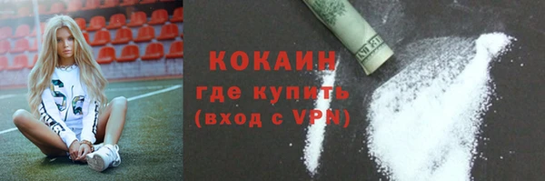 молекула духа Богданович