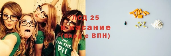 гидра Богородск