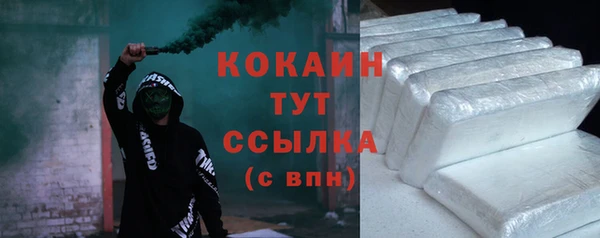 молекула духа Богданович
