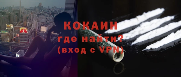 молекула духа Богданович