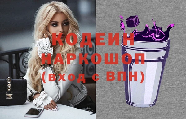 гидра Богородск