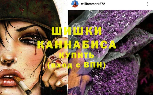 молекула духа Богданович