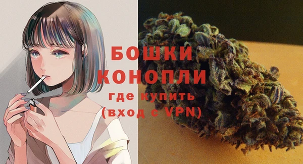 гидра Богородск
