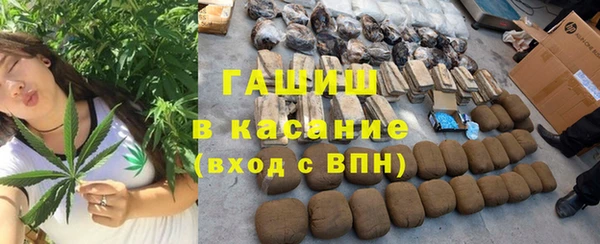 молекула духа Богданович