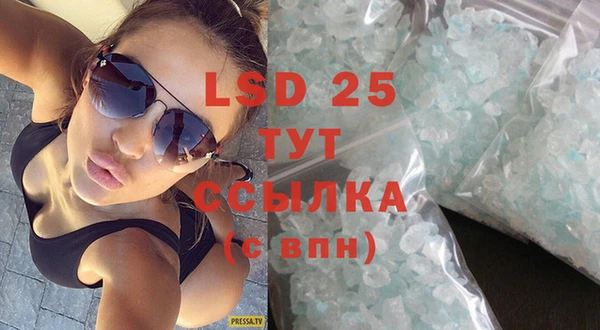 молекула духа Богданович