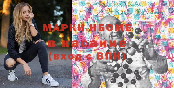 молекула духа Богданович