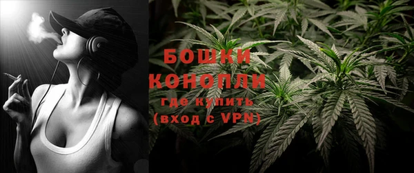 гидра Богородск