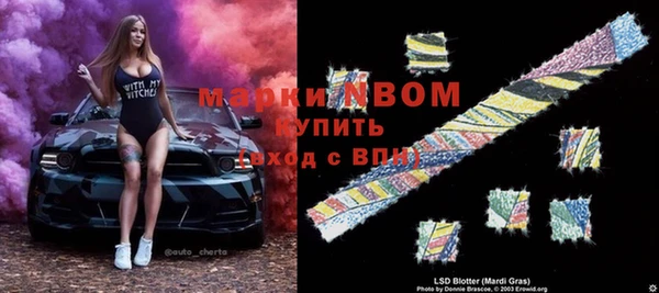 гидра Богородск