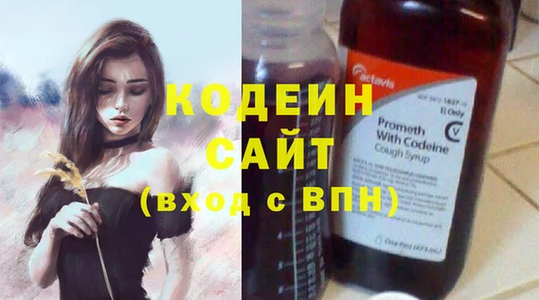 молекула духа Богданович